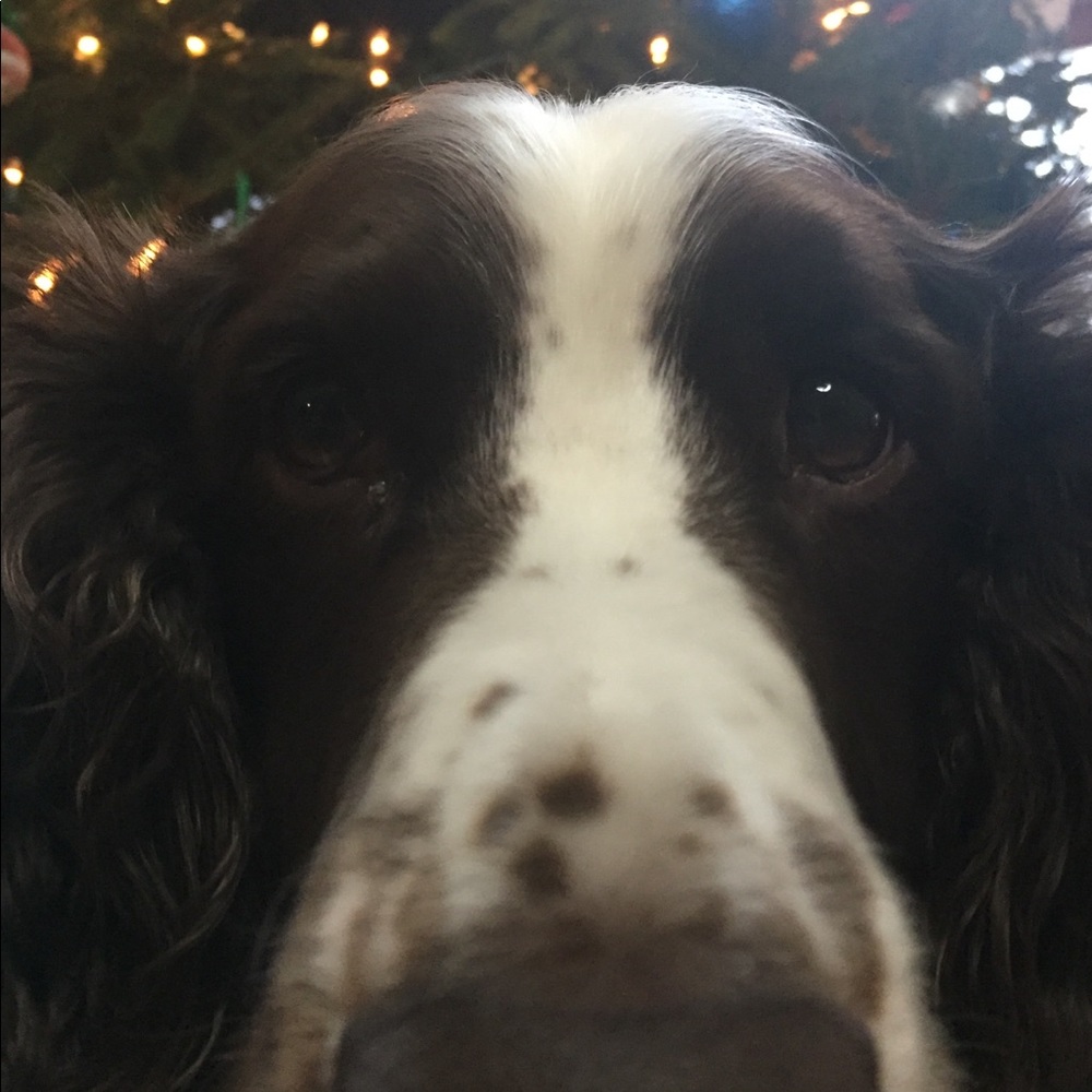 Meet your Posher, Brooke